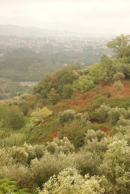 Bei Buggiano Castello