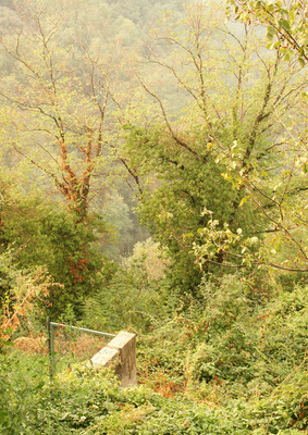 Bei Buggiano Castello